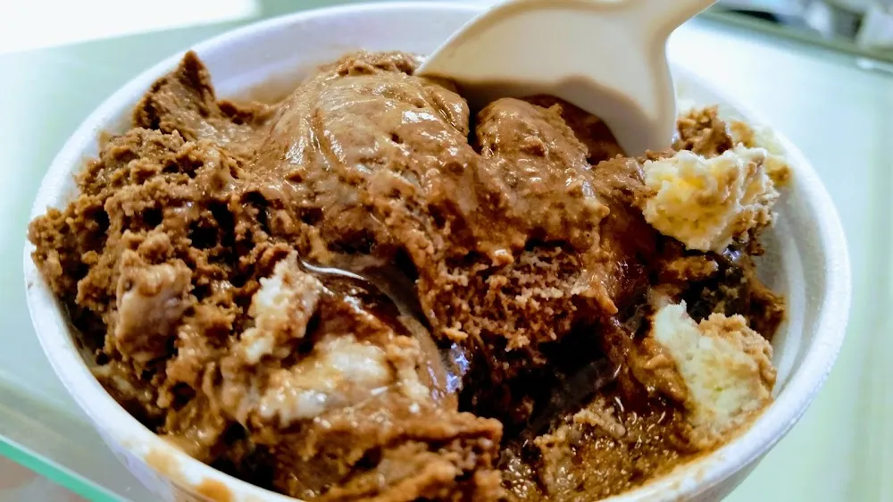 Triple Chocolate Ice Cream